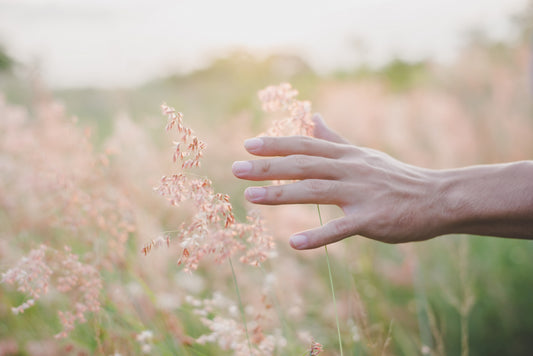 Mãe Natureza: Amor e Força no Dia das Mães