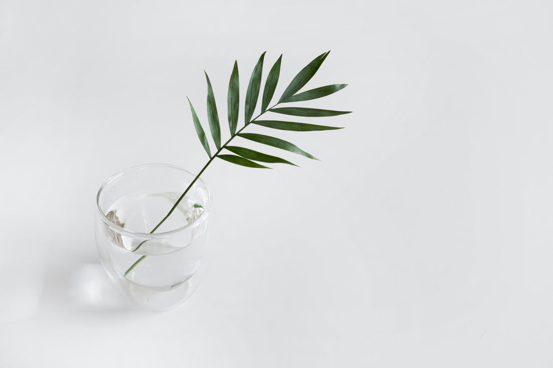 Minimalismo